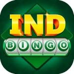 Ind Bingo Rummy Yono Official Apk Download – ₹51 Free Bonus | Yono Rummy New